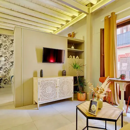 Ziri - Hostatel Apartment Granada
